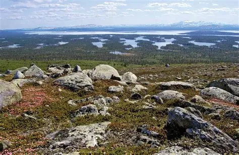 How the Regions of Northern Sweden Shape the Dogs